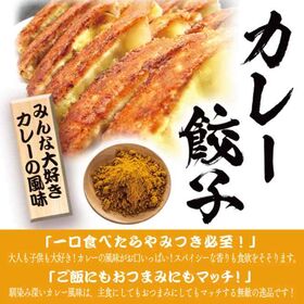 【2種/96個】美食点心ぎょうざ館 カレー餃子48個/黒餃子48個