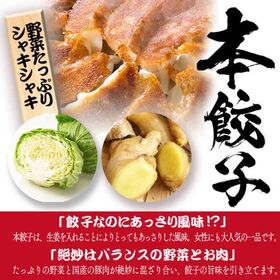 【2種/96個】美食点心ぎょうざ館 黒餃子48個/本餃子48個