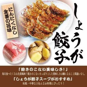 【2種/96個】美食点心ぎょうざ館 黒餃子48個/しょうが餃子48個（ニンニク無し）