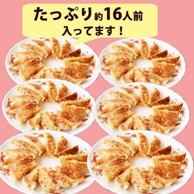 【2種/96個】美食点心ぎょうざ館 黒餃子48個/水餃子48個