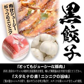 【2種/144個】美食点心ぎょうざ館 黒餃子96個/本餃子48個