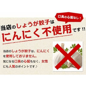 【2種/96個】美食点心ぎょうざ館 本餃子48個/しょうが餃子48個（ニンニク無し）