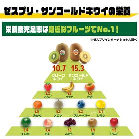 【ニュージーランド】 L約3kg  ゼスプリ・サンゴールドキウイ