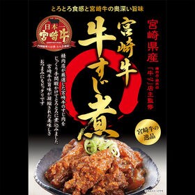 【180g×3袋】牛すじ煮