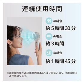 【グレージュ】Wブレードハンディファン