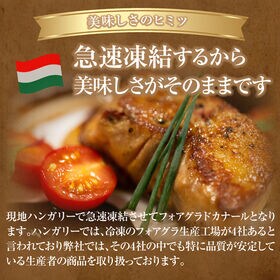 《ハンガリー産》フォアグラをご家庭で!!フォアグラドカナールまるごと1玉（約400g-500g）