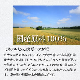 【12g×32包入】 茶つみの里  麦茶  ティーバッグ