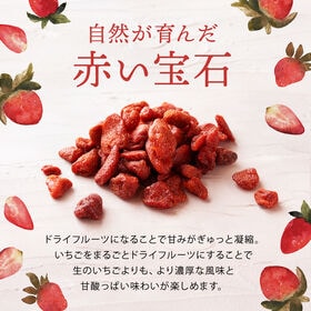 【500g】ドライストロベリー