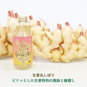 【化粧箱入・250ml×12本】生姜丸しぼり「わかやまジンジャーエール」和歌山のプレミアムギフト