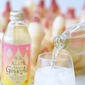 【化粧箱入・250ml×12本】生姜丸しぼり「わかやまジンジャーエール」和歌山のプレミアムギフト