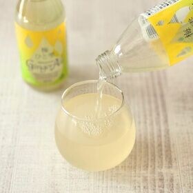【瓶250ml×24本】梅ひと雫 わかやまジンジャーエール／和歌山県産の生姜・南高梅果汁を使用！