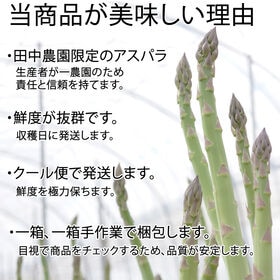 【1kg/2L】 会津アスパラガス 福島県喜多方産※1本あたり40g以上