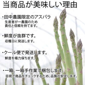 【1kg】会津アスパラガス 福島県 喜多方産（ご家庭用）クール便