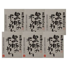 【210g×6食】「三田屋総本家」 黒豚のポークカレー6食セット