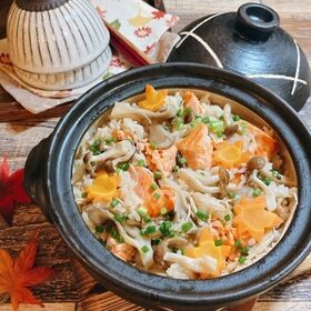 【500g】銀鮭 切り落とし　ご家庭用(500g×1袋)