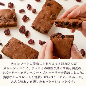 【20本入り】スティックガトーショコラ（3種のベリー）1本当たり約45g(個包装)※割れ欠けあり