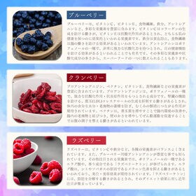 【8本入り】スティックガトーショコラ（3種のベリー）1本当たり約45g(個包装)※割れ欠けあり