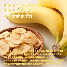 【8本入り】スティックガトーショコラ（チョコバナナ）1本当たり約45g(個包装)※割れ欠けあり