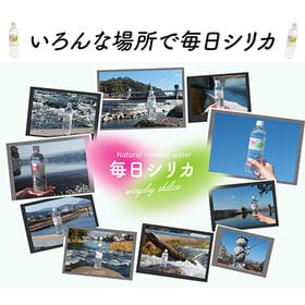 【525ml×40本】大分県産シリカ水「毎日シリカ」
