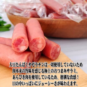 【760g(76g×10袋)】サラミ家 上サラミ