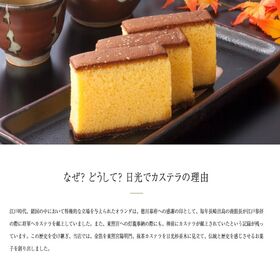 【約350g×3パック】日光カステラ ハニー切り落とし  上品な香りで癖のないアカシア蜂蜜を使用