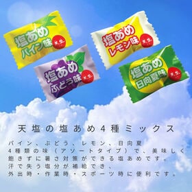 【計2kg/1kg×2袋】赤穂化成 天塩の塩あめ4種ミックス