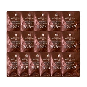 【180g×16袋】「横浜ロイヤルパークホテル」監修赤ワイン仕立てのデミグラスソースハンバーグセット