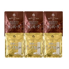 【2種計6袋】「横浜ロイヤルパークホテル」監修 カレー＆ハンバーグセット