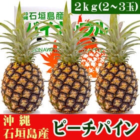【予約受付】5/15~順次出荷【約2kg(2-3玉)】石垣島産 ピーチパイン | 収穫したてのピーチパインを石垣島から発送！ ほんのり桃の香りがするピーチパイン