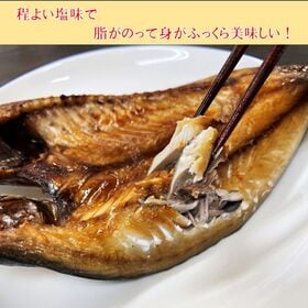 【2L/3枚セット】仙台の朝市 脂ののったジューシーな金華さば開き干し