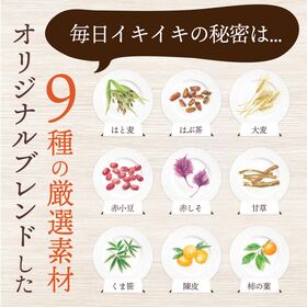 【8g×32包入】 茶つみの里 健康茶 はと麦茶 恵み健茶  ノンカフェイン