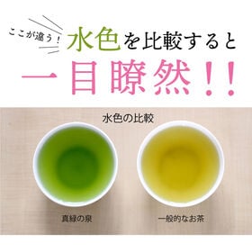 【2.5g×40包入】 茶つみの里 抹茶入り 緑茶 ティーバッグ 匠厳選本格茶葉 真緑の泉