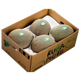 【約8kg(4~5玉)/2~4Lサイズ】熊本県産 肥後グリーン