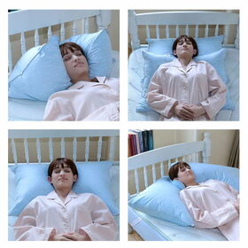 【2個セット】デンマーク発のラグジュアリー枕　フォスフレイクス ロイヤーレ