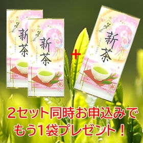 【100g×2袋】嬉野茶【2025年産新茶】日本茶発祥の地！