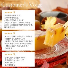 【2袋セット】焼き芋ようかん