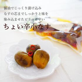 【2袋セット】漬物　小茄子