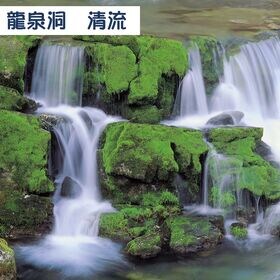 【1L×12本】岩手県岩泉町　龍泉洞の水　pH7.6 弱アルカリ性 中硬水 ミネラルウォーター