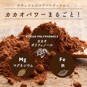 【5kg(500g×10袋)】ナチュラルココアパウダー(チャック付き)
