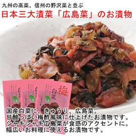 【3袋】日本三大漬菜・広島菜のお漬物 「梅白菜」国産白菜にきゅうり、広島菜。甘酸っぱい梅酢風味仕上げ