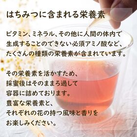 【2.5g×10本】スティックハニー[岩手県産MIX]大西養蜂場　贈り物や非常時の備えとしてもお勧め