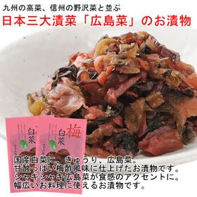 【2袋】日本三大漬菜・広島菜のお漬物 「梅白菜」国産白菜にきゅうり、広島菜。甘酸っぱい梅酢風味仕上げ