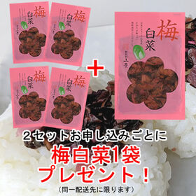 【2袋】日本三大漬菜・広島菜のお漬物 「梅白菜」国産白菜にきゅうり、広島菜。甘酸っぱい梅酢風味仕上げ