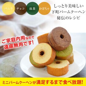 【400g以上】ミニクーヘン8個入り  ★工場長のおまかせ※ご家庭用  I