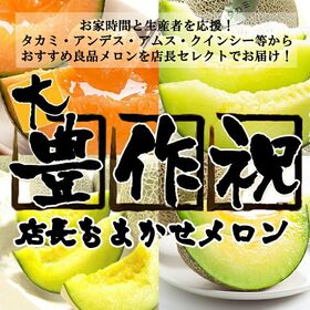 【約2.5kg(2-6玉)】「復袋」メロン(品種お任せ・良品...
