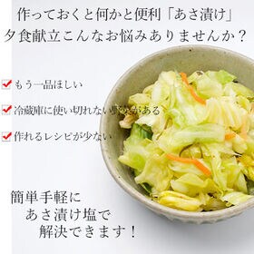 【160g×2袋】あさ漬けの塩(芽かぶ入り)