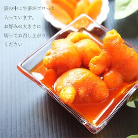 【240g×1袋】生姜みそ