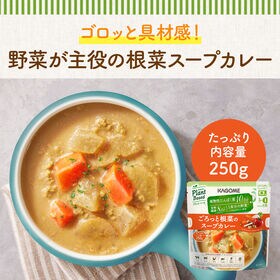 カゴメ プラントベース　ごろっと根菜のスープカレー 250g×10個