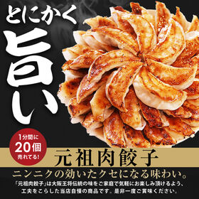 裏ミラクルセット！餃子50個＆炒飯計6袋(炒め・豚カルビ・カレー・ねぎ塩)