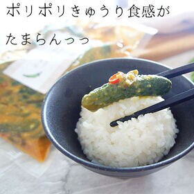 【250g×1袋】青唐辛子みそちびきゅうり